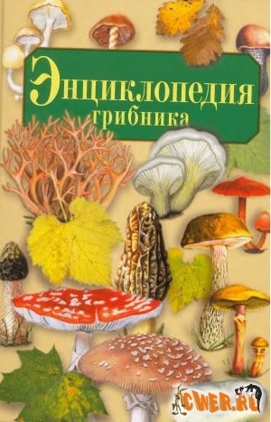 Энциклопедия грибника