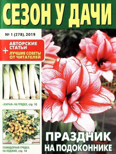 журнал газета Сезон у дачи №1 январь 2019
