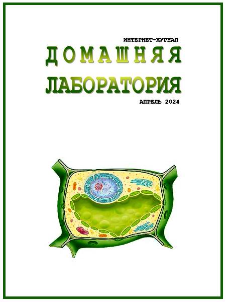 Домашняя лаборатория №4 апрель 2025