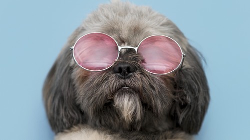 Computer Desktop Wallpap…Collection. www.cwer.ru