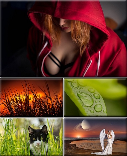 Computer Desktop Wallpapers Collection. www.cwer.ru