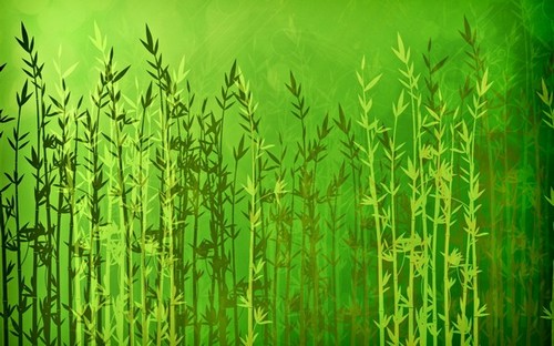 Computer Desktop Wallpapers Collection. www.cwer.ru