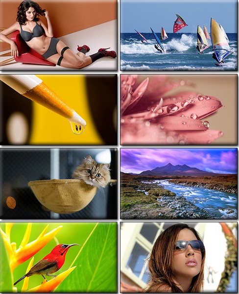 Computer Desktop Wallpapers Collection. www.cwer.ru