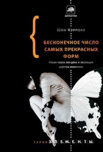 Шон Кэрролл. Бесконечное число самых прекрасных форм