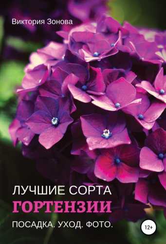 Гортензии. Лучшие сорта