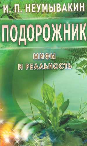 Подорожник. Мифы и реальность