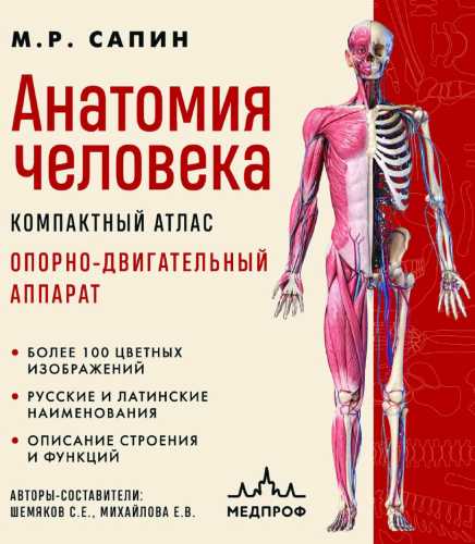 Анатомия человека. Компактный атлас