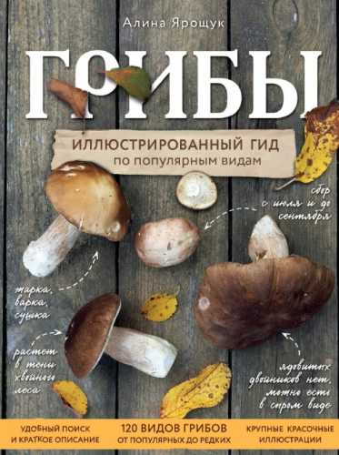 Грибы: иллюстрированный гид по популярным видам