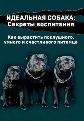 Идеальная собака: секреты воспитания