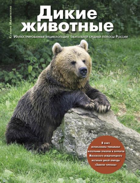 К.Б. Митителло. Дикие животные. Иллюстрированная энциклопедия обитателей средней полосы России