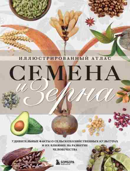 semena-i-zerna-udivitelnye-fakty