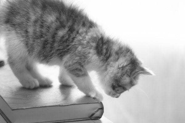 New Mixed HD Wallpapers Pack 349