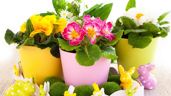 Best Mixed Wallpapers Pack #447-448