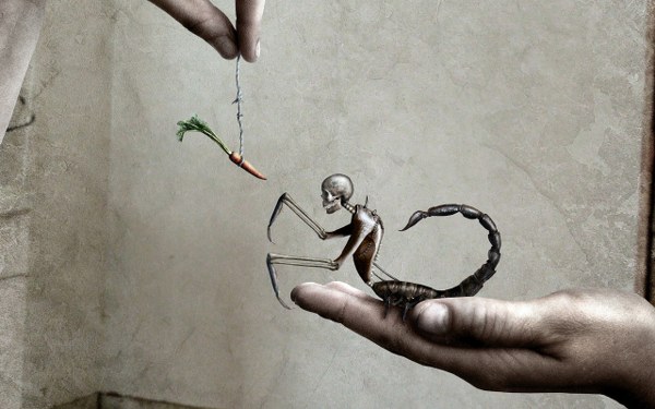 New Mixed HD Wallpapers Pack 319