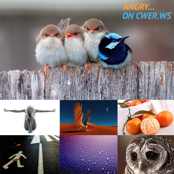 Best Mixed Wallpapers Pack #373-374