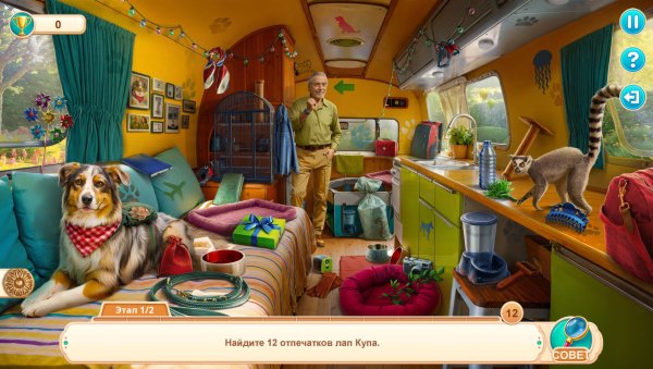 Home for Friends: Beloved Pets Collector's Edition