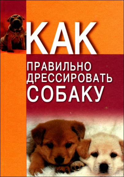 Как правильно дрессировать собаку